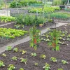 Relaxdays Rankhilfe Obelisk, 2er Set, 100cm hoch, Ranksäule Produktbild-Vorschau 5