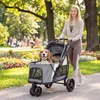 PawHut Hundewagen Faltbar Hundebuggy bis 20 kg mit Produktbild-Vorschau 2