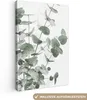 MuchoWow® - Leinwandbilder - Eukalyptus - Blätter - Natur - Produktbild-Vorschau 1