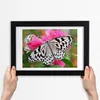 Bild 30x20 MDF-Rahmen, Wandkunst Schmetterling auf einer Produktbild-Vorschau 3