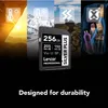 Lexar Professional SILVER PLUS, 256 GB, SDXC, Klasse 3, Productafbeelding-voorbeeld 7