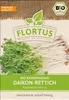 Keimsprossen Daikon-Rettich |Keimsprossen von FLORTUS Produktbild-Vorschau 1
