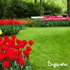 Eisensulfatdünger - Moosentferner - 5kg - für 250m2- Produktbild-Vorschau 7