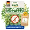 Green Guardia Nematoden gegen Thripse – 0.5 Mio. - Effektiv Produktbild-Vorschau 1