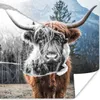 MuchoWow® Poster Tiere - Schottischer Highlander - Stier Produktbild-Vorschau 1