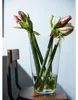 Dekoglas, Vase CONICAL konisch rund H. 40cm D. 25cm Produktbild-Vorschau 2