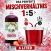 Rainbow Slush Sirup Erdbeere Geschmack 1L 1:5 AZO & Produktbild-Vorschau 3