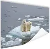 MuchoWow® Poster Eisbär - Wasser - Winter 60x40 cm - Produktbild-Vorschau 1