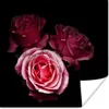 MuchoWow® Poster Ein Foto von rosa Rosen mit schwarzem Produktbild-Vorschau 1