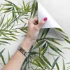 Coloray Fototapete 250x104 cm Vlies-Fototapete - Blätter Produktbild-Vorschau 3