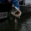 Pulz Kunstaas Set voor Forel (Regenboogforel) Productafbeelding-voorbeeld 3