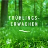 febreze dávkovač vůně do auta CAR spring awakening fresh 2 Náhled obrázku produktu 3