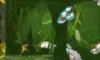 Metroid: Samus Returns Produktbild-Vorschau 10