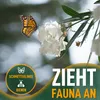A monarch butterfly is shown on a white flower with green leaves. Text overlays promote the attraction of fauna. Náhľad obrázku produktu