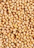 KoRo I  Sojabohnen 2 kg Produktbild-Vorschau 3