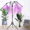 Gardlov 19388 LED-Pflanzenzuchtlampe mit Stativ, 80 LEDs, 4 Produktbild-Vorschau 10