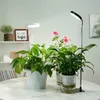Two indoor plants are shown on a table, each with a grow light. One plant is in a white geometric pot, and the other is in a clear glass pot with visible roots. There are pink roses on a stem behind the plants. A shelf with a framed "But First Coffee" sign Náhľad obrázku produktu