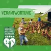 DOKAS Kaustange – Getreidefreier Premium Kausnack für Hunde Produktbild-Vorschau 10