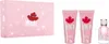 Dsquared2 Wood Pour Femme Set: Eau de Toilette 50ml + Produktbild-Vorschau 1