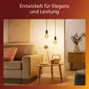 Philips Filament-Lampe Bernstein 25W A60 E27, 3,1 W, 25 W, Produktbild-Vorschau 4