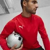 Puma Teamgoal Trainingssweat Herren - Rot Produktbild-Vorschau 4