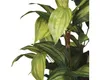 Sztuczna roślina Mica Decorations Hosta - H65 x Ø40 cm - Podgląd zdjęcia produktu 7