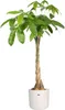 elho b.for Soft Rund 35cm Übertopf - weiss Produktbild-Vorschau 9