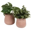 Clayre & Eef Innenblumentopf Ø 16x15 cm Rosa Keramik Produktbild-Vorschau 3