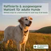 AniForte Lamm Trockenfutter für Hunde 2kg – Herzhaftes Lamm Produktbild-Vorschau 7