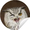 MuchoWow® Produktbild-Vorschau 1