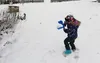 Prosperplast SNOWBALLEE 2 výrobník snehových gúľ modrý Náhľad obrázku produktu 18