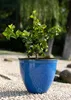 Jinfa Blumenkübel aus Kunststoff in glasierter Keramikoptik Produktbild-Vorschau 6
