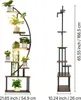 Two plant stands are shown against a white background. The stand on the left is curved and has multiple shelves with plants. The stand on the right is tall and narrow with staggered shelves and no plants. Dimensions are provided for both stands. Podgląd zdjęcia produktu