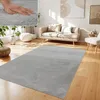 A living room scene with a rug, sofa, and plants. Voir les images du produit