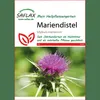 SAFLAX - ostropestrec mariánsky - Silybum marianum - 75 Náhľad obrázku produktu 13