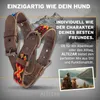 ALTEZAR Buntes Hundehalsband aus Leder Doppel-Tribal Produktbild-Vorschau 6