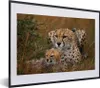 MuchoWow® MuchoWow® Gerahmtes Poster Geparden sitzen Produktbild-Vorschau 1