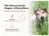 mammaly Lucky Belly Probiotika Hunde-Leckerli 325g, Produktbild-Vorschau 4