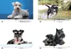 Hundezauber Schnauzer DIN A3 Kalender für 2027 Welpen und Produktbild-Vorschau 3