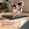 Knupis Selbstheizende Wärmedecke Hunde – 90x60 cm Große Produktbild-Vorschau 4