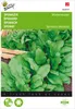 Spinat Winterriesen | Spinatsamen von Buzzy Seeds Produktbild-Vorschau 1