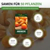 Physalis Andenbeere Kapstachelbeere Samen - Physalis Produktbild-Vorschau 3