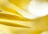 Akustikbild Natur Wasser 200x100 cm Bilder Akustikschaum Produktbild-Vorschau 5