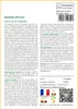 SAFLAX  - Baobab africain - 6 graines - Adansonia Voir les images du produit 3