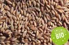Nackenhörnchen HWS - Nacken + Schultern + Rücken - Produktbild-Vorschau 11