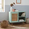 A mint green sideboard with a rattan door is styled in a room with a window, a basket, and a rug. Produktbild-Vorschau