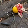 Nash Claw Ganci per carpa a gambo lungo X spinato R. 2 Anteprima dell’immagine prodotto 8