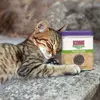KONG Katzenminze Premium (1oz/2835g) Produktbild-Vorschau 5