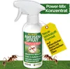 Ameisen Abwehrspray Power-Konzentrat 500 ml – Mittel gegen Produktbild-Vorschau 1