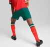 Puma Fpf Portugal Replica Heim Junior-shorts Grün 15-16 Produktbild-Vorschau 4